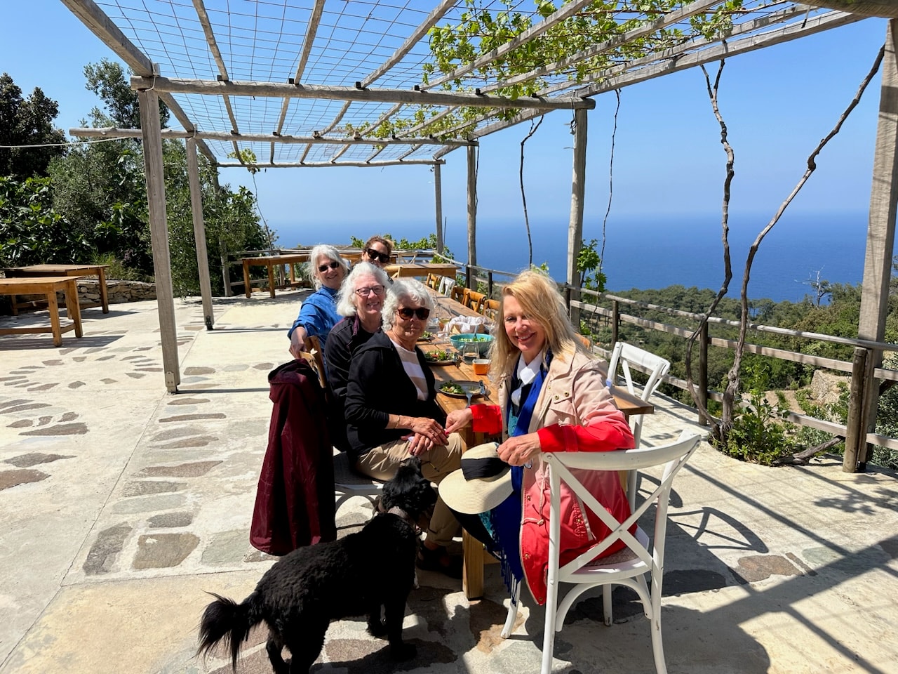 Citrus farm — Blue Zone living and integrative wellness